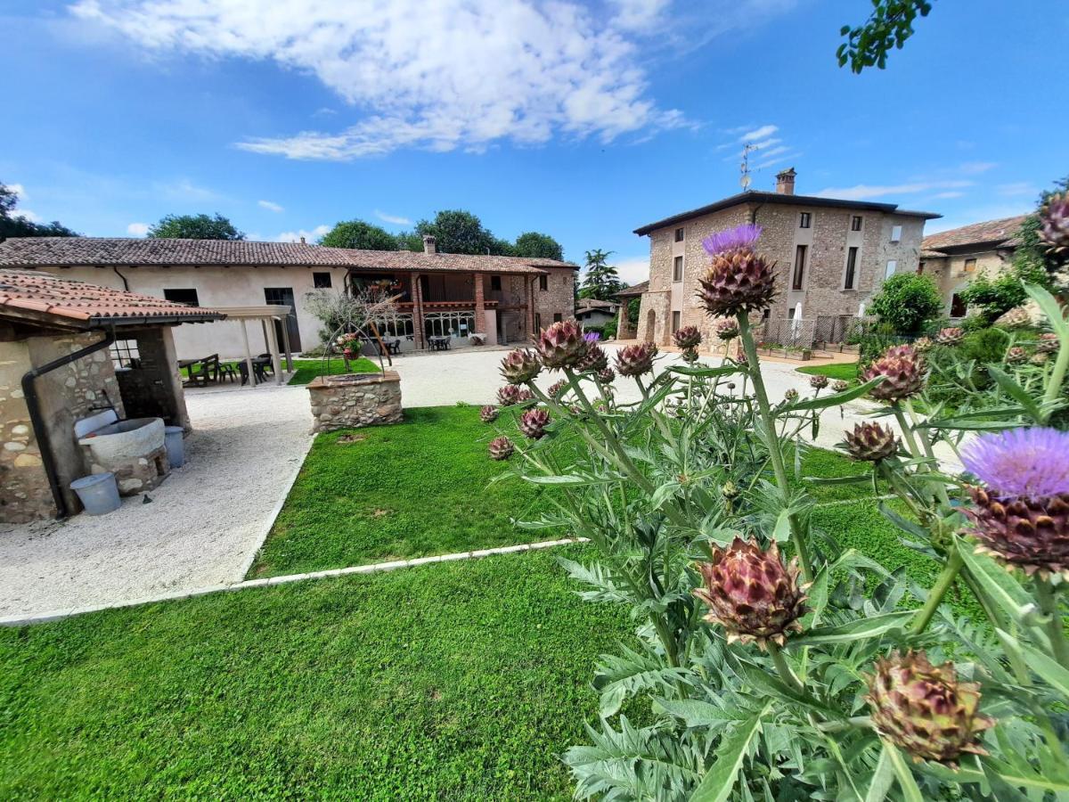 Corte Davini Agriturismo مونزامبانو المظهر الخارجي الصورة