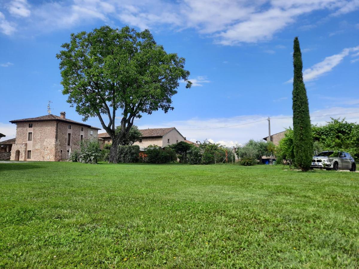 Corte Davini Agriturismo مونزامبانو المظهر الخارجي الصورة