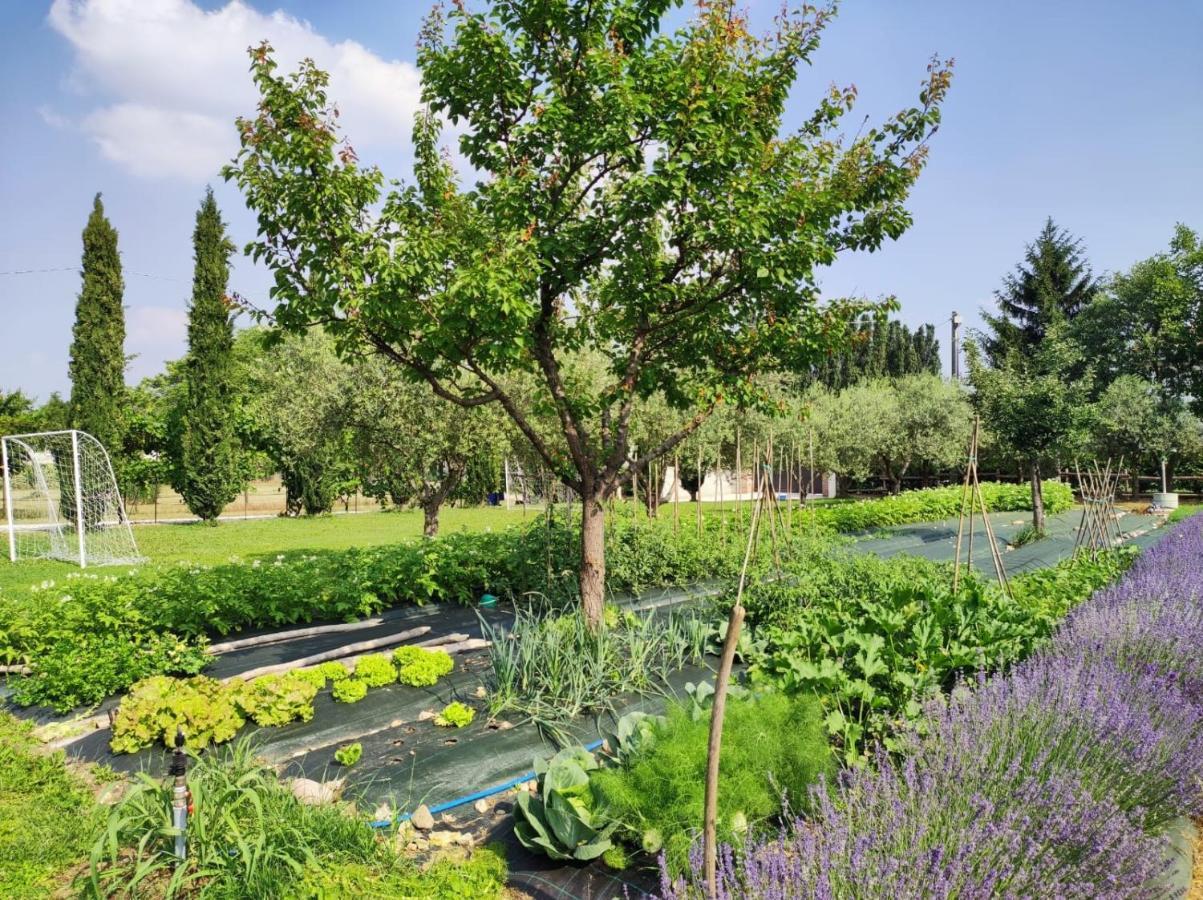 Corte Davini Agriturismo مونزامبانو المظهر الخارجي الصورة