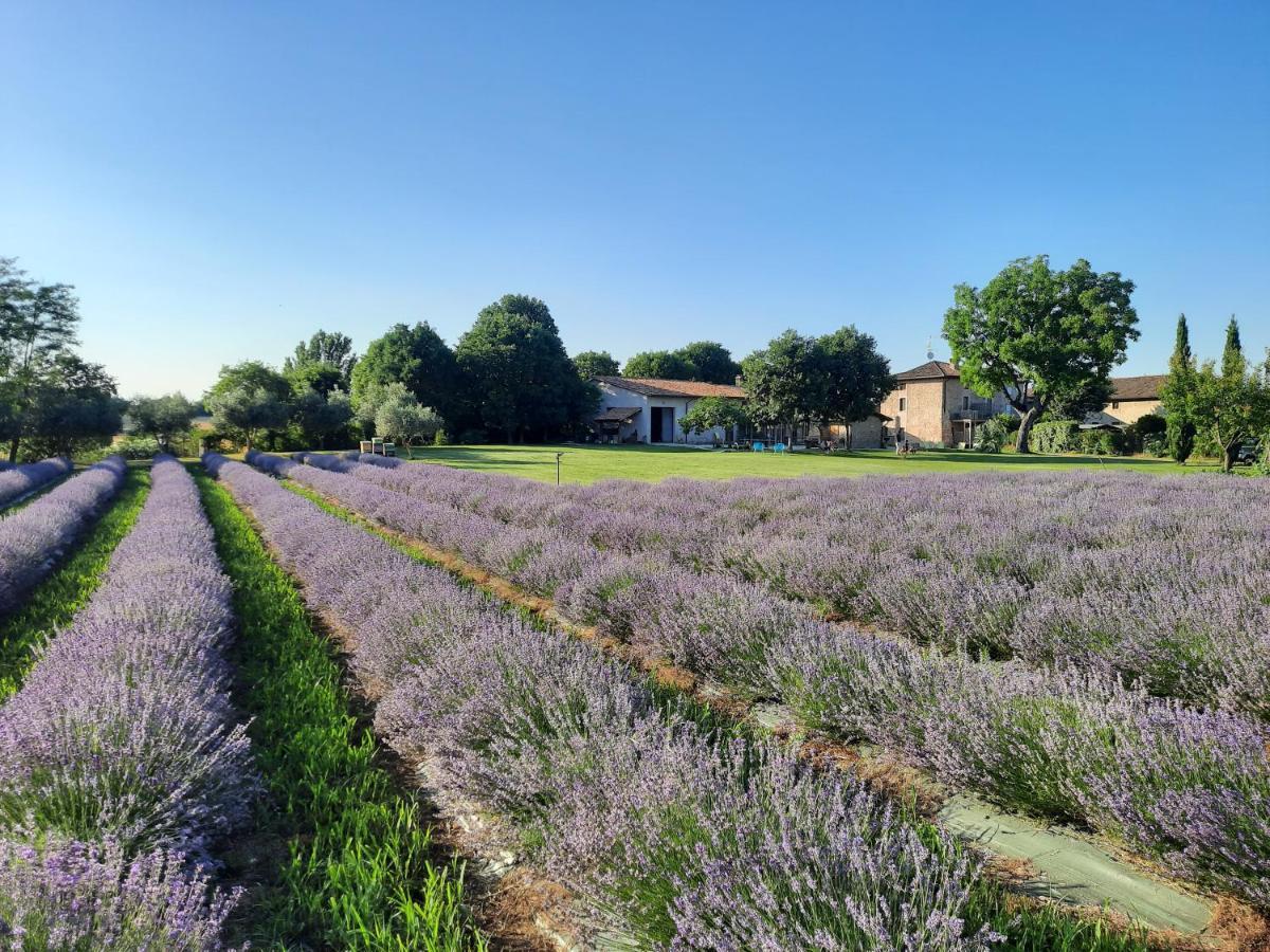 فيلا Corte Davini Agriturismo مونزامبانو المظهر الخارجي الصورة