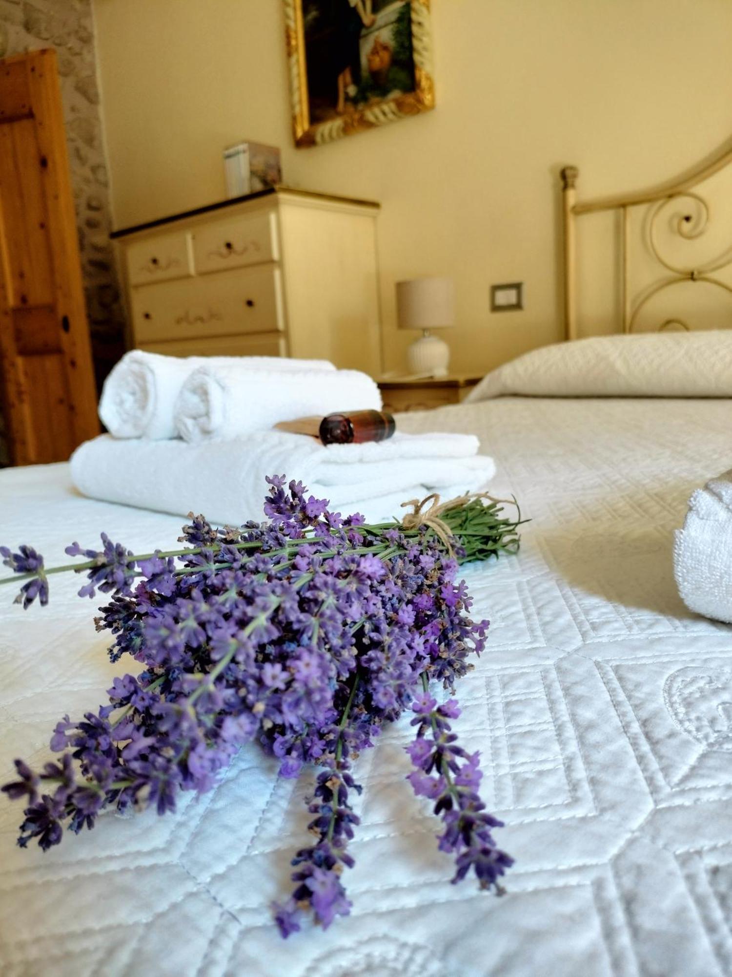 Corte Davini Agriturismo مونزامبانو المظهر الخارجي الصورة