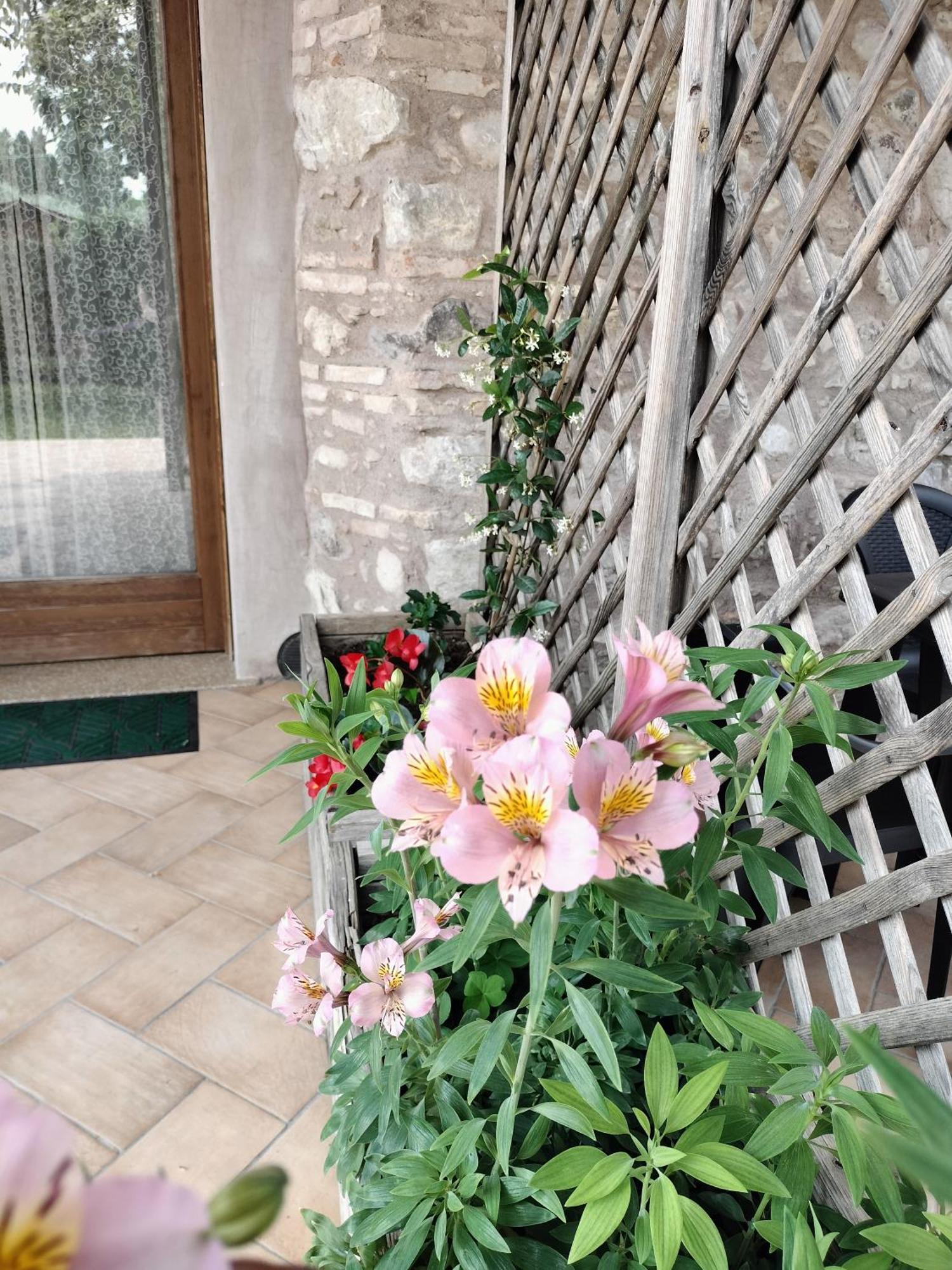 Corte Davini Agriturismo مونزامبانو المظهر الخارجي الصورة
