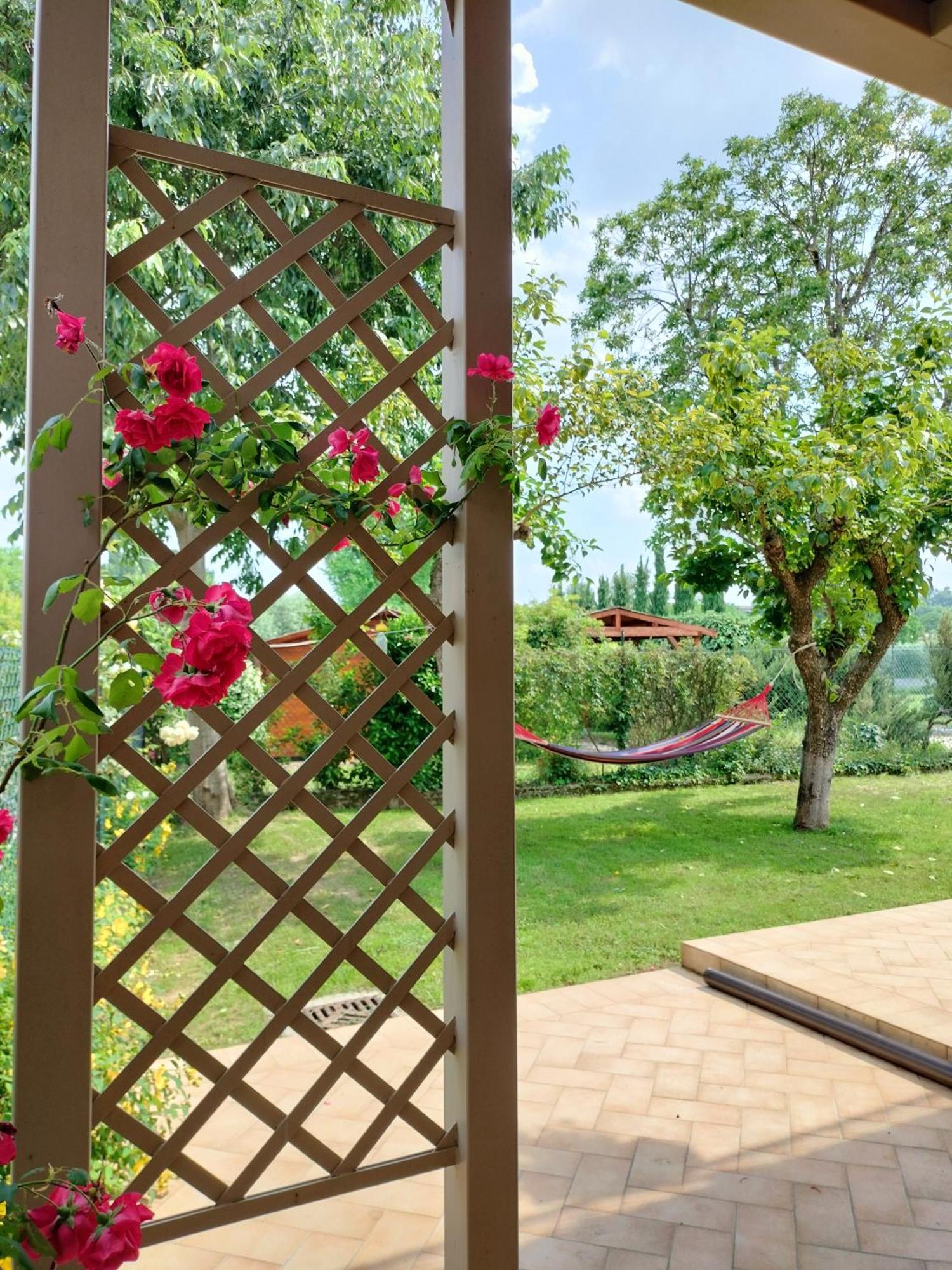 Corte Davini Agriturismo مونزامبانو المظهر الخارجي الصورة