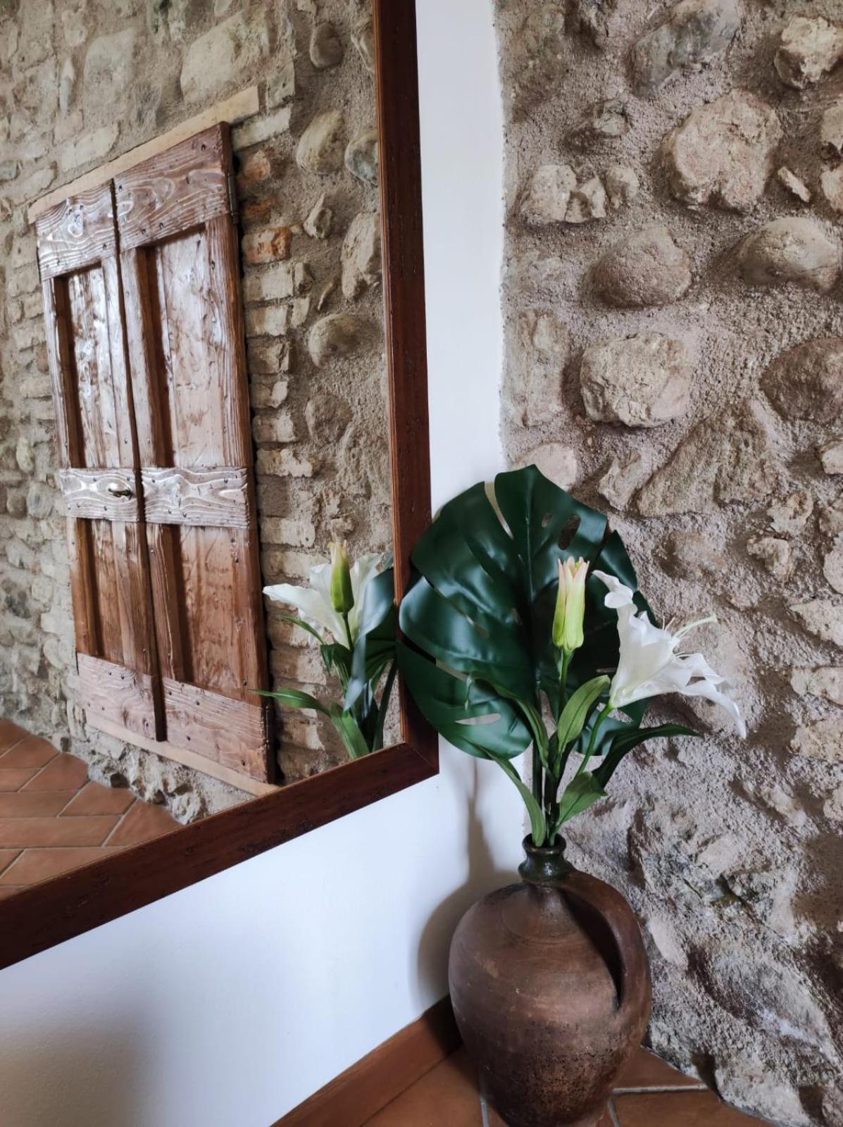 Corte Davini Agriturismo مونزامبانو المظهر الخارجي الصورة