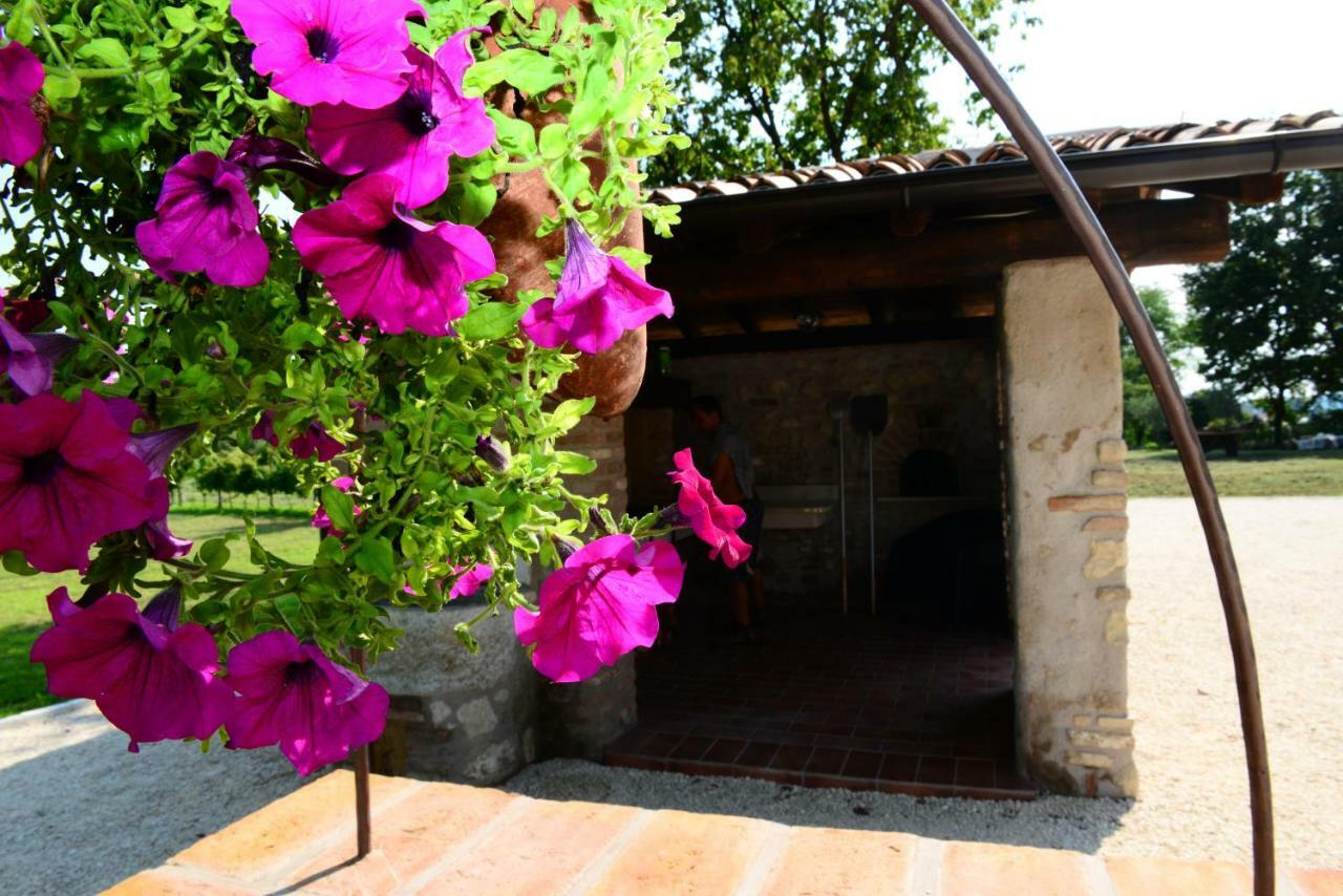 Corte Davini Agriturismo مونزامبانو المظهر الخارجي الصورة